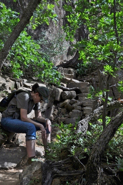 The Petroglyph Trail 